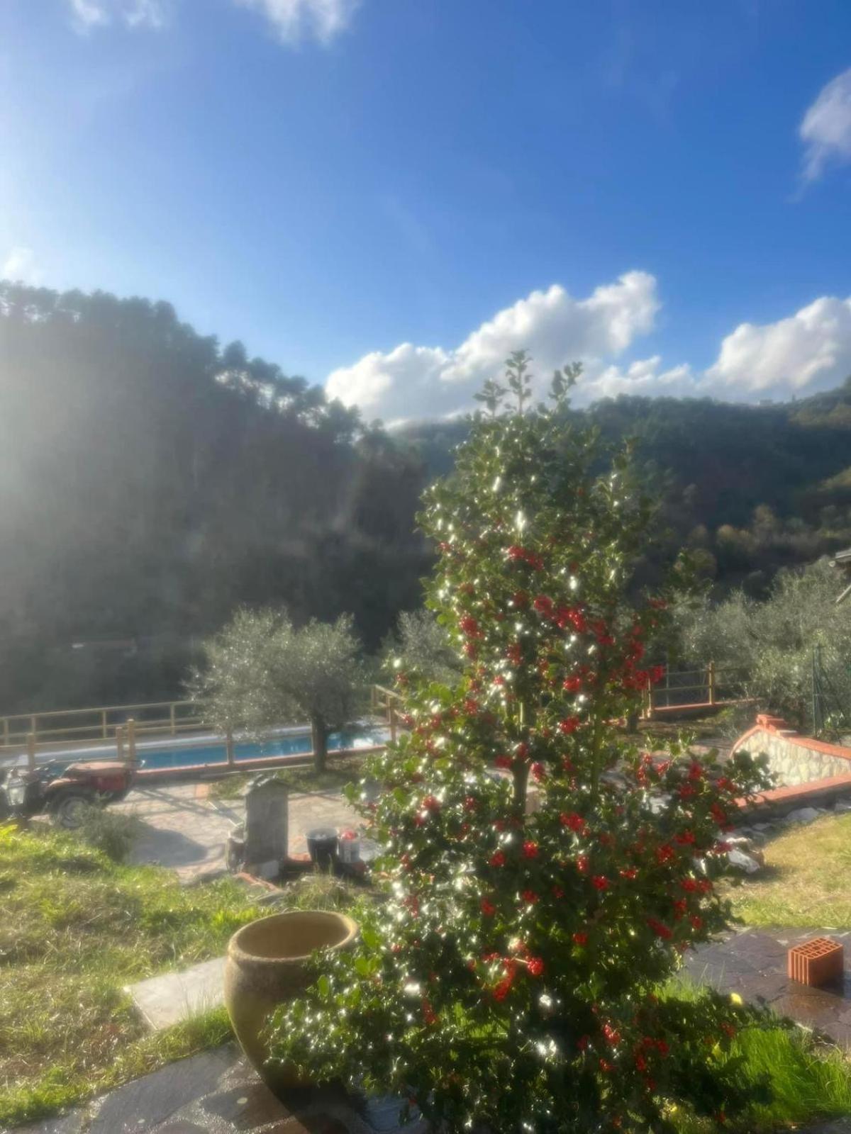 Podere Il Glicine Wellness Charme & Relax Fresonara  Esterno foto